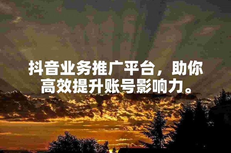 抖音业务推广平台，助你高效提升账号影响力。
