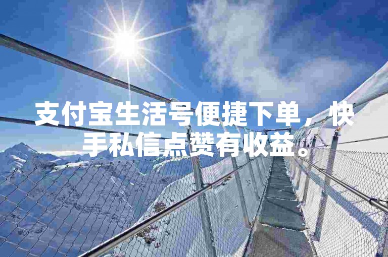 支付宝生活号便捷下单，快手私信点赞有收益。