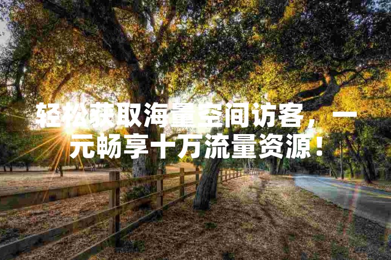 轻松获取海量空间访客，一元畅享十万流量资源！