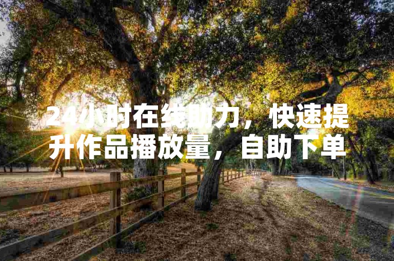 24小时在线助力，快速提升作品播放量，自助下单超便捷！