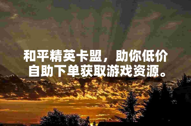 和平精英卡盟，助你低价自助下单获取游戏资源。