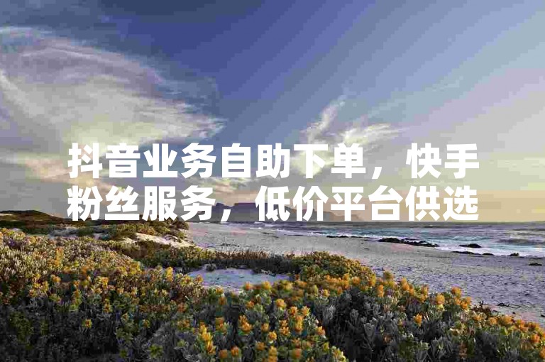 抖音业务自助下单，快手粉丝服务，低价平台供选择。