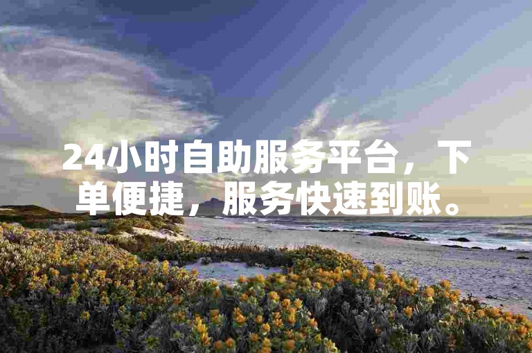 24小时自助服务平台，下单便捷，服务快速到账。