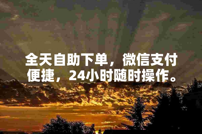 全天自助下单，微信支付便捷，24小时随时操作。