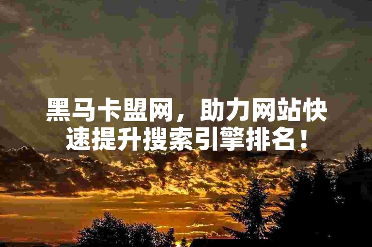 黑马卡盟网，助力网站快速提升搜索引擎排名！