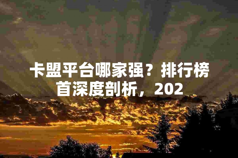 卡盟平台哪家强？排行榜首深度剖析，2025精选攻略！