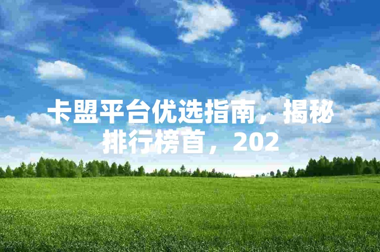 卡盟平台优选指南，揭秘排行榜首，2025年高效选择攻略！