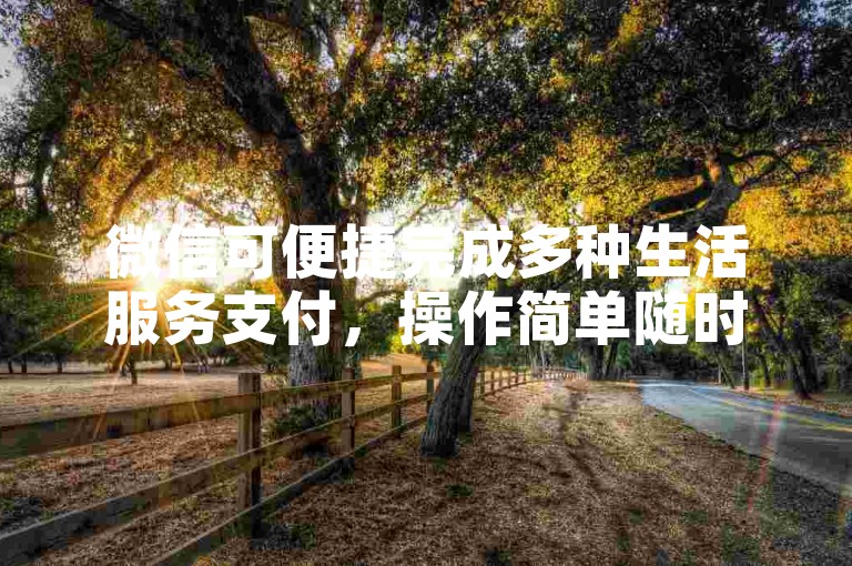 微信可便捷完成多种生活服务支付，操作简单随时用。