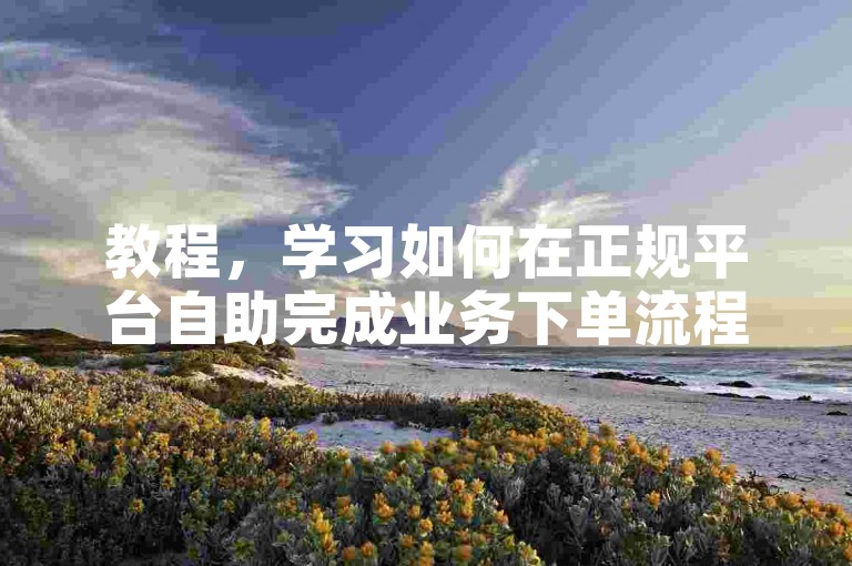 教程，学习如何在正规平台自助完成业务下单流程。