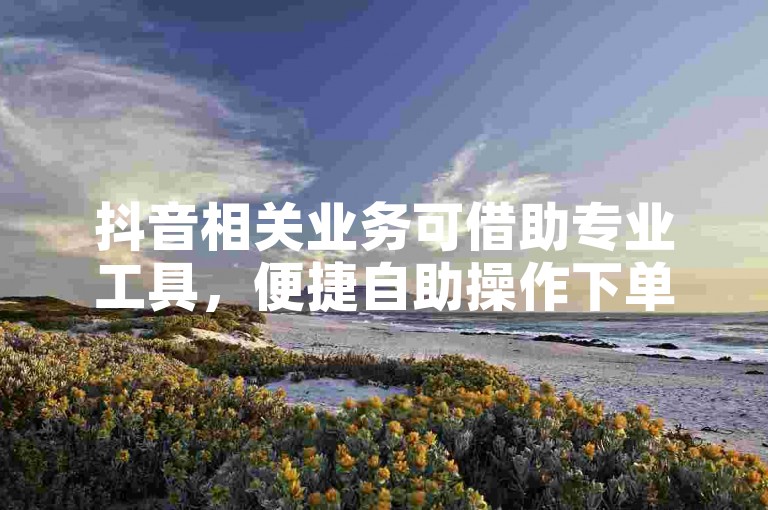 抖音相关业务可借助专业工具，便捷自助操作下单。