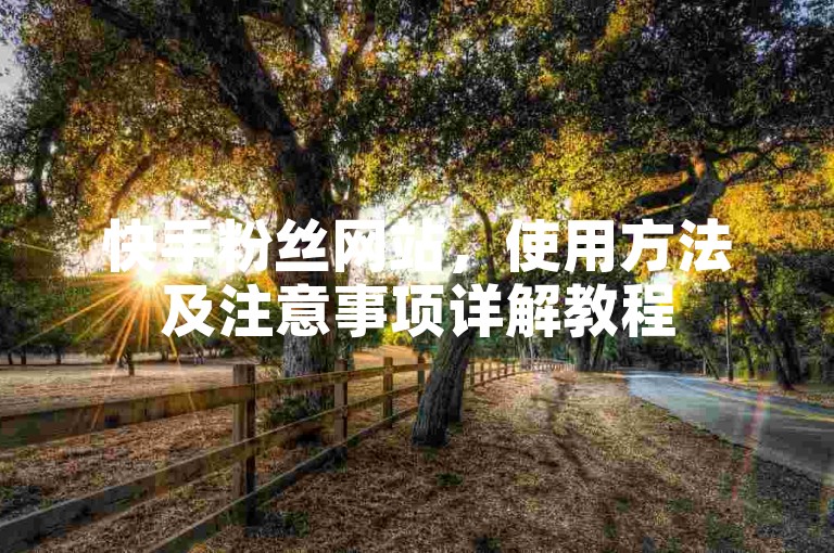 快手粉丝网站，使用方法及注意事项详解教程