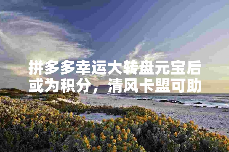 拼多多幸运大转盘元宝后或为积分，清风卡盟可助了解。