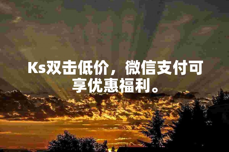 Ks双击低价，微信支付可享优惠福利。