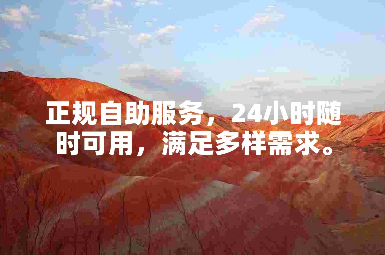 正规自助服务，24小时随时可用，满足多样需求。