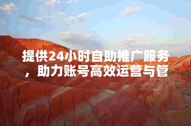 提供24小时自助推广服务，助力账号高效运营与管理