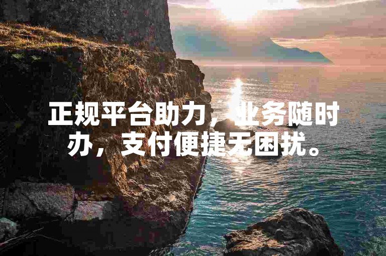 正规平台助力，业务随时办，支付便捷无困扰。