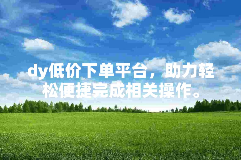 dy低价下单平台，助力轻松便捷完成相关操作。