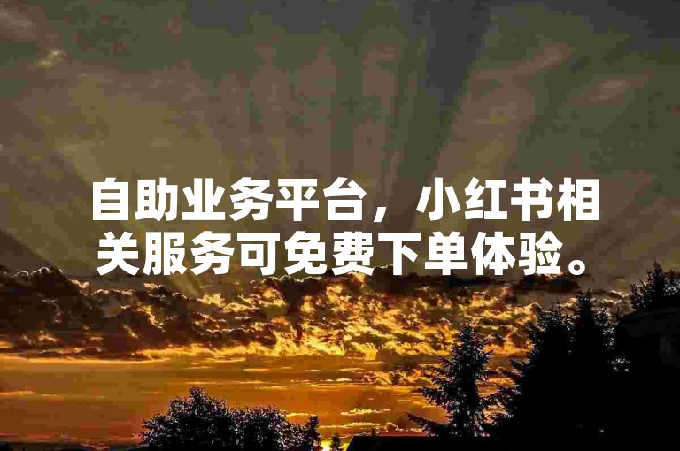 自助业务平台，小红书相关服务可免费下单体验。