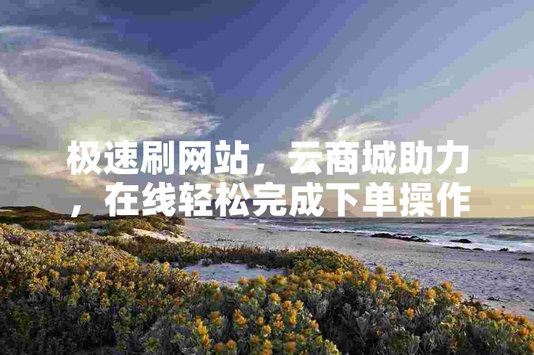 极速刷网站，云商城助力，在线轻松完成下单操作。