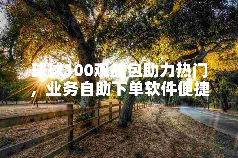 球球100观战包助力热门，业务自助下单软件便捷实用。