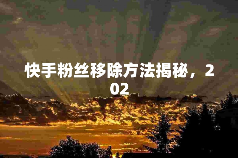 快手粉丝移除方法揭秘，2025年必学技巧，轻松管理关注列表