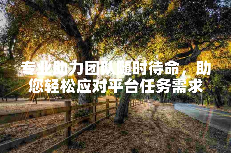 专业助力团队随时待命，助您轻松应对平台任务需求。