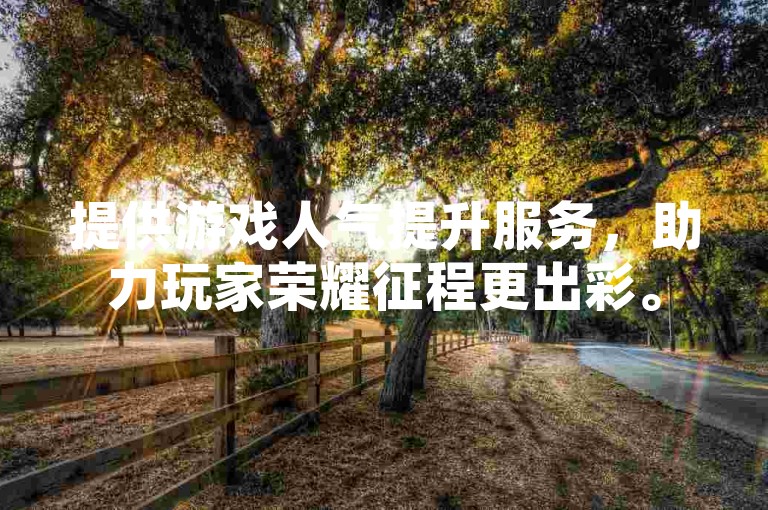 提供游戏人气提升服务，助力玩家荣耀征程更出彩。