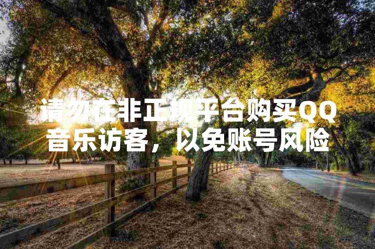 请勿在非正规平台购买QQ音乐访客，以免账号风险。