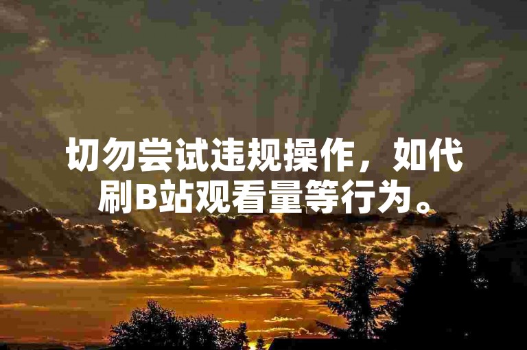 切勿尝试违规操作，如代刷B站观看量等行为。