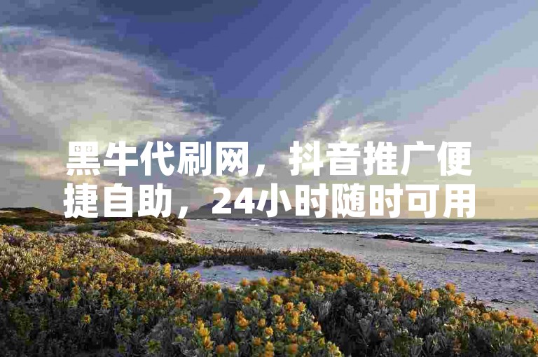 黑牛代刷网，抖音推广便捷自助，24小时随时可用。