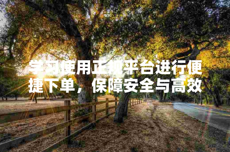 学习使用正规平台进行便捷下单，保障安全与高效。