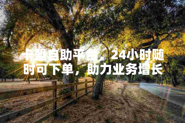 卡盟自助平台，24小时随时可下单，助力业务增长。