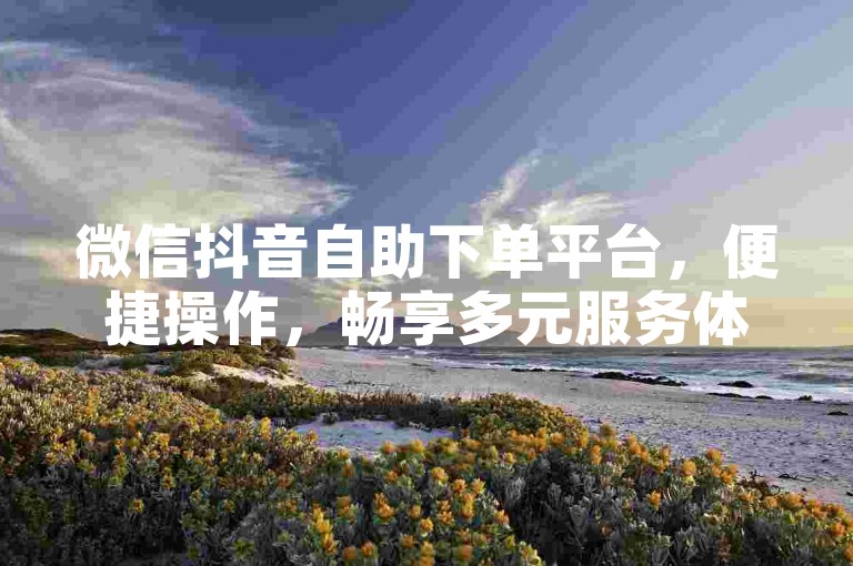 微信抖音自助下单平台，便捷操作，畅享多元服务体验。