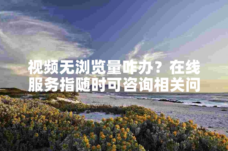 视频无浏览量咋办？在线服务指随时可咨询相关问题。