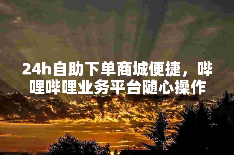 24h自助下单商城便捷，哔哩哔哩业务平台随心操作。