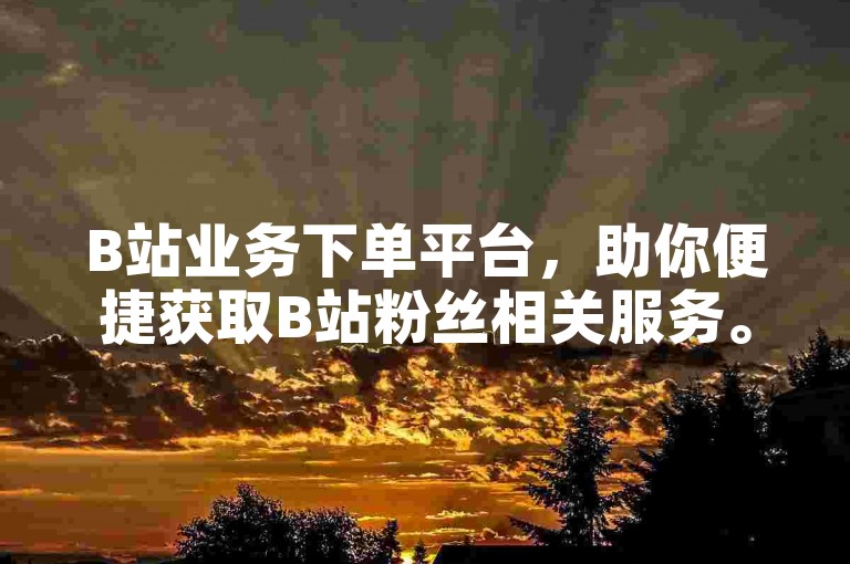 B站业务下单平台，助你便捷获取B站粉丝相关服务。