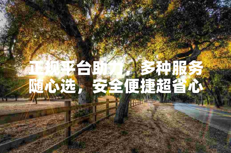 正规平台助力，多种服务随心选，安全便捷超省心。