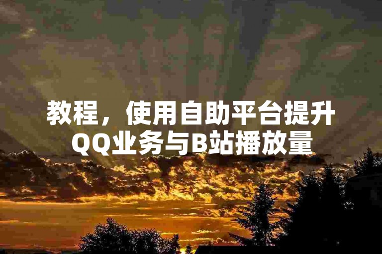 教程，使用自助平台提升QQ业务与B站播放量
