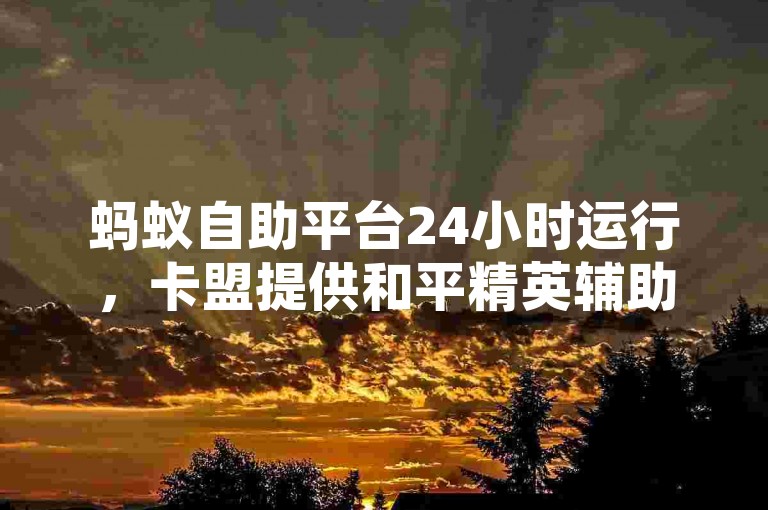 蚂蚁自助平台24小时运行，卡盟提供和平精英辅助服务。