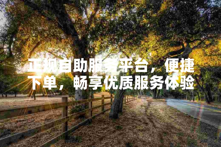 正规自助服务平台，便捷下单，畅享优质服务体验。