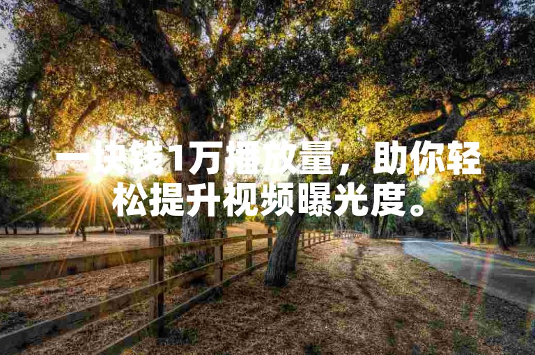 一块钱1万播放量，助你轻松提升视频曝光度。