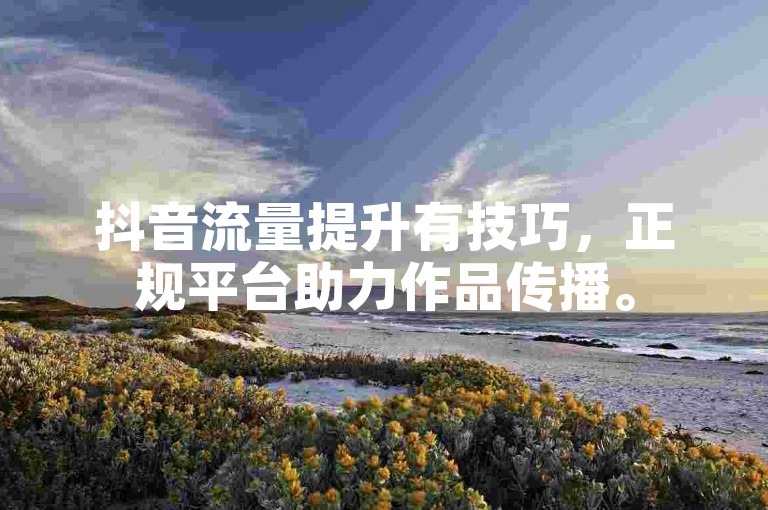 抖音流量提升有技巧，正规平台助力作品传播。
