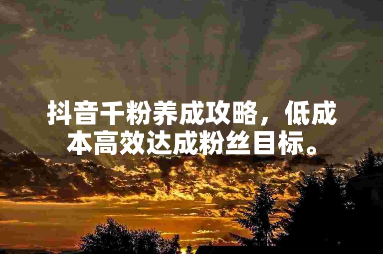 抖音千粉养成攻略，低成本高效达成粉丝目标。