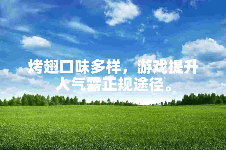 烤翅口味多样，游戏提升人气需正规途径。