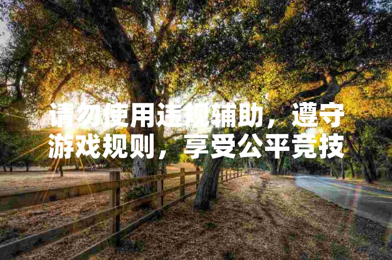 请勿使用违规辅助，遵守游戏规则，享受公平竞技。