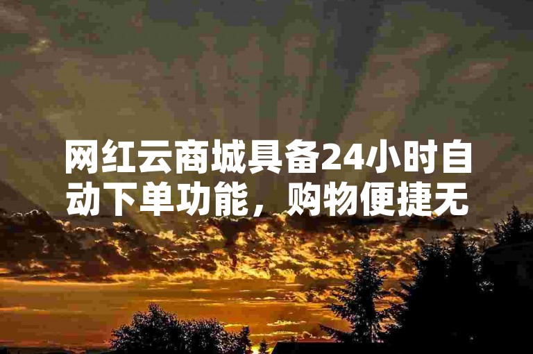 网红云商城具备24小时自动下单功能，购物便捷无忧。