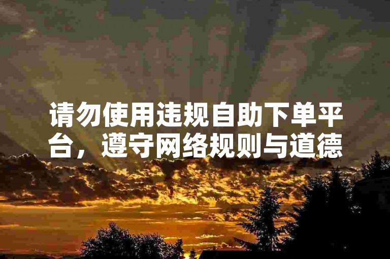 请勿使用违规自助下单平台，遵守网络规则与道德规范。