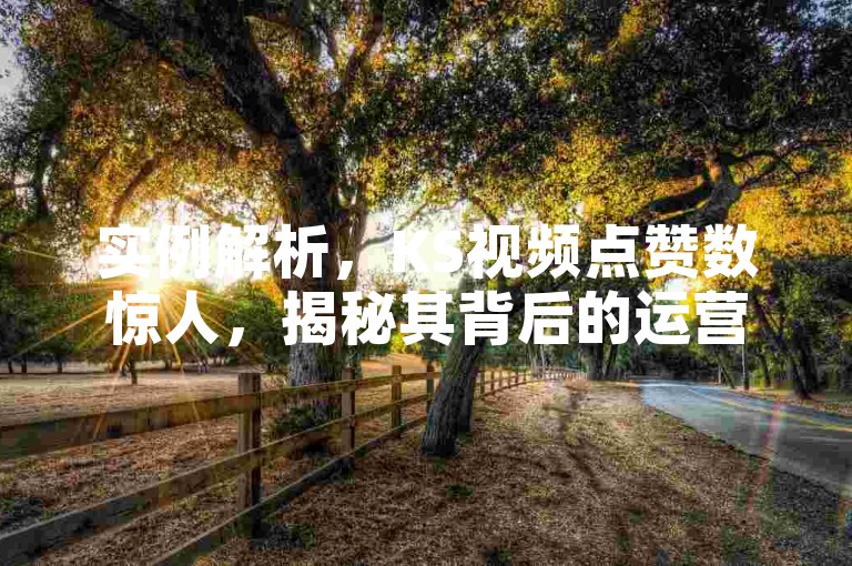 实例解析，KS视频点赞数惊人，揭秘其背后的运营技巧。