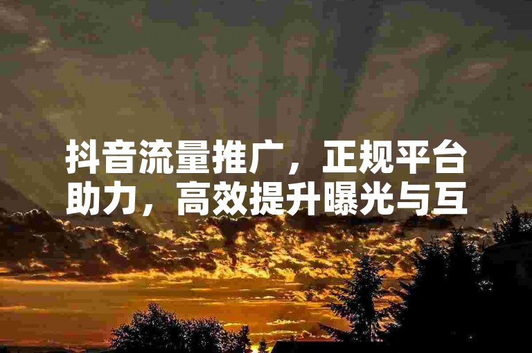 抖音流量推广，正规平台助力，高效提升曝光与互动。