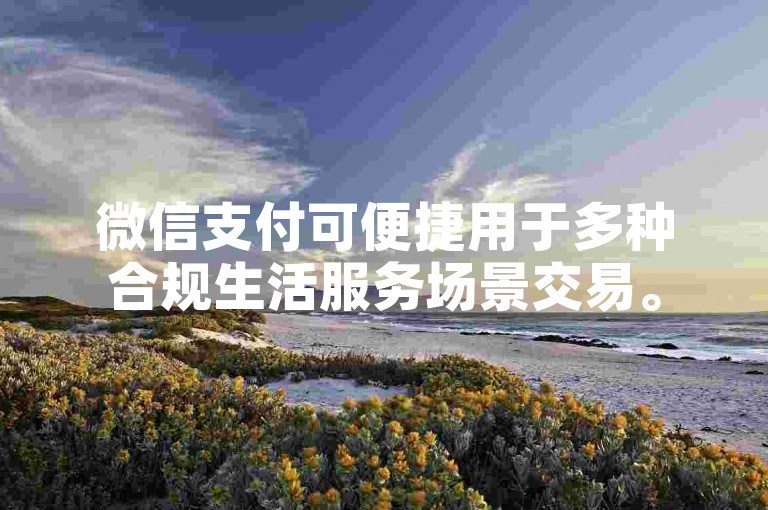 微信支付可便捷用于多种合规生活服务场景交易。